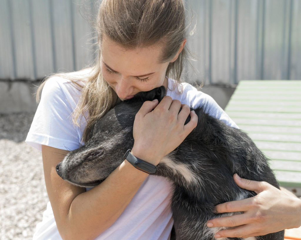 Conway Area Humane Society