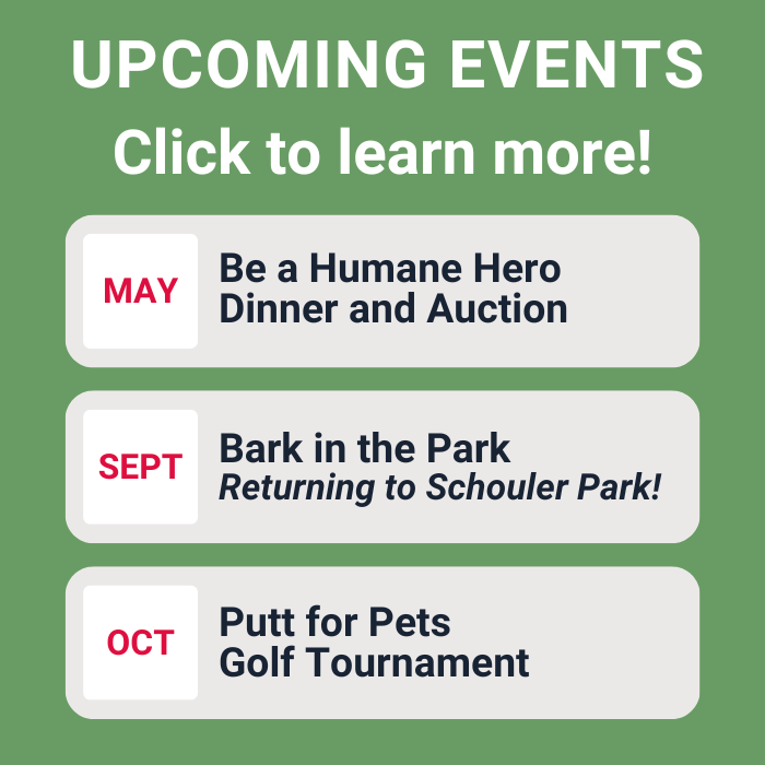 Upcoming Events (2)