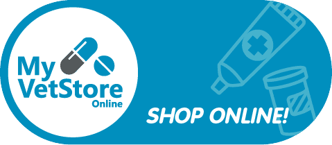 MyVestStore Online